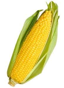 shape12