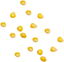 shape14