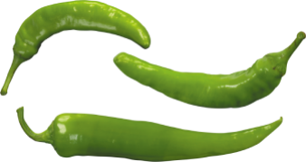 shape7